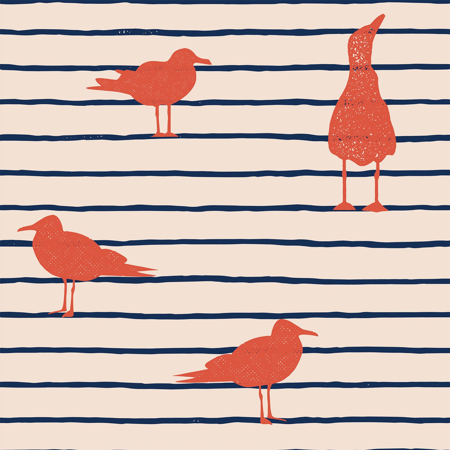Seabirds Sunset