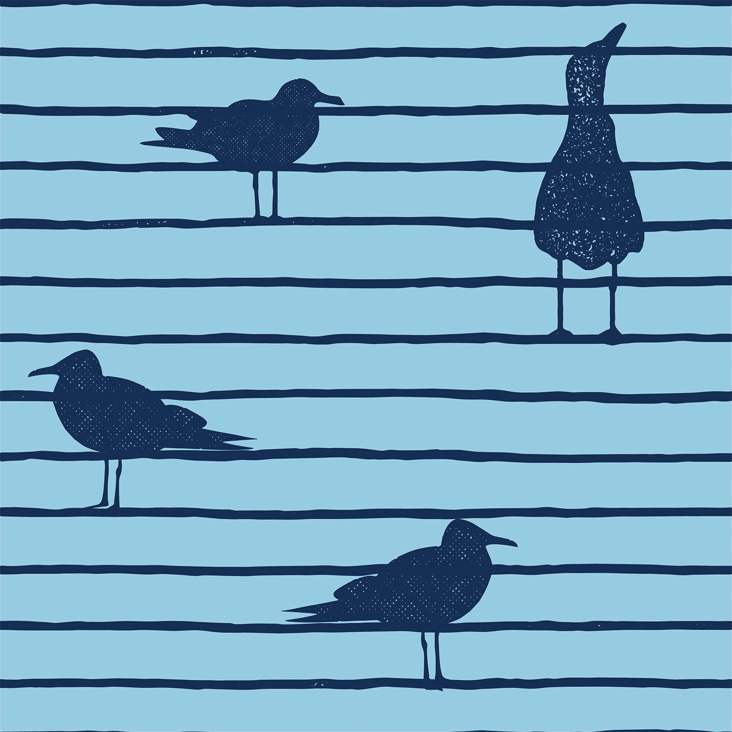 Seabirds Twilight