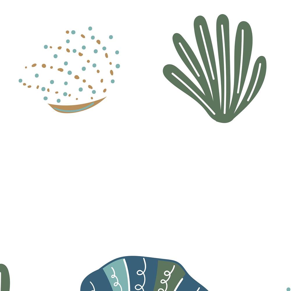 Shells And Corals-wallpaper-eco-friendly-easy-removal-Gioia Wall Art-4