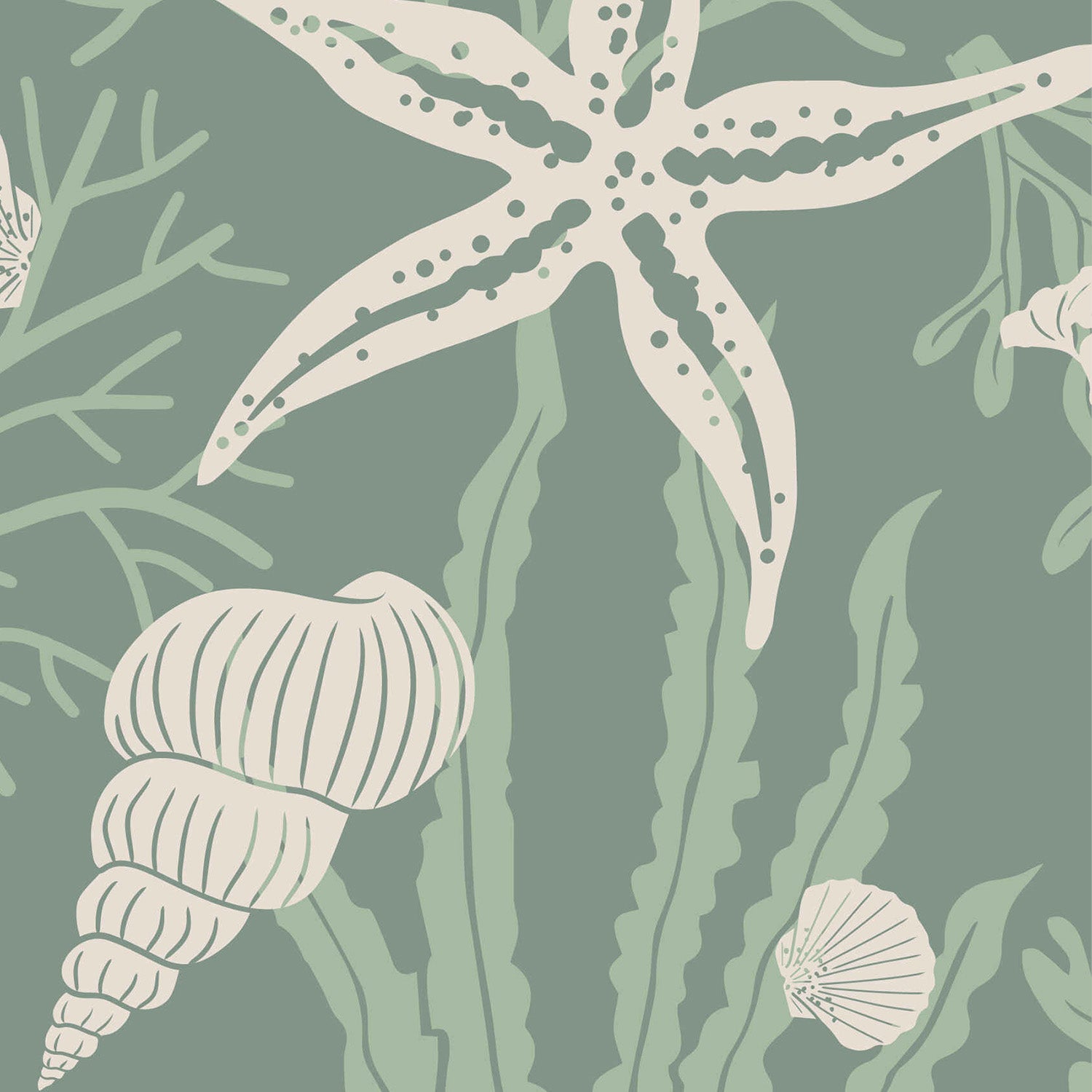 Shells Jade