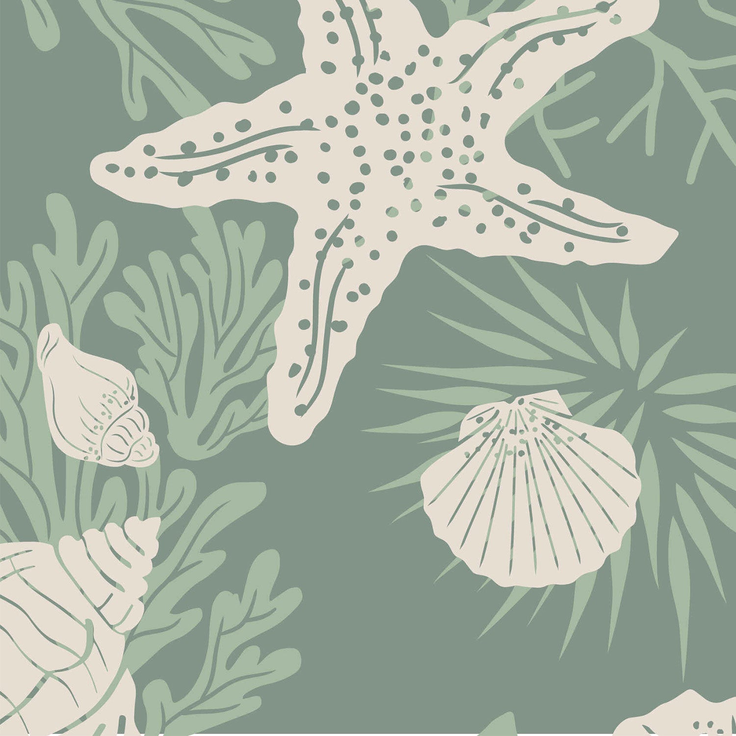 Shells Jade