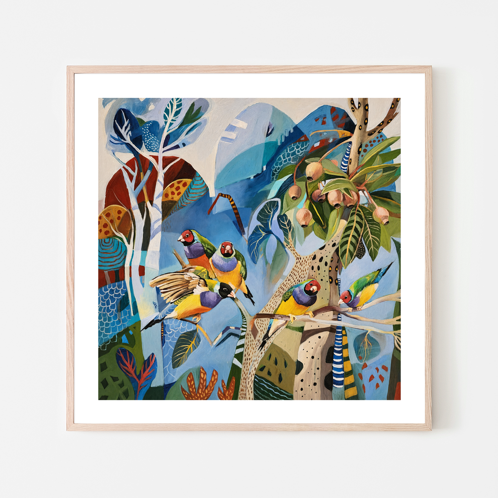 Gouldian Finches on Blue