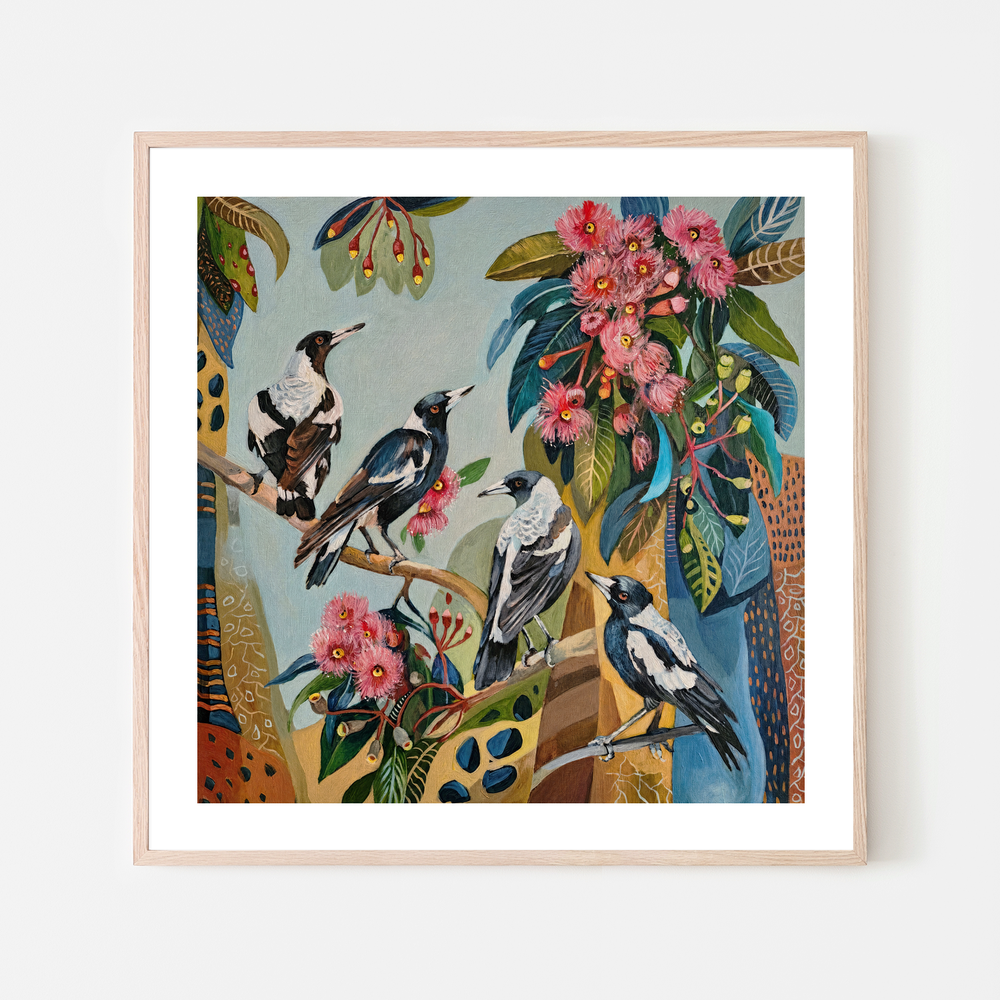 Magpies with Pink Gum Blossom