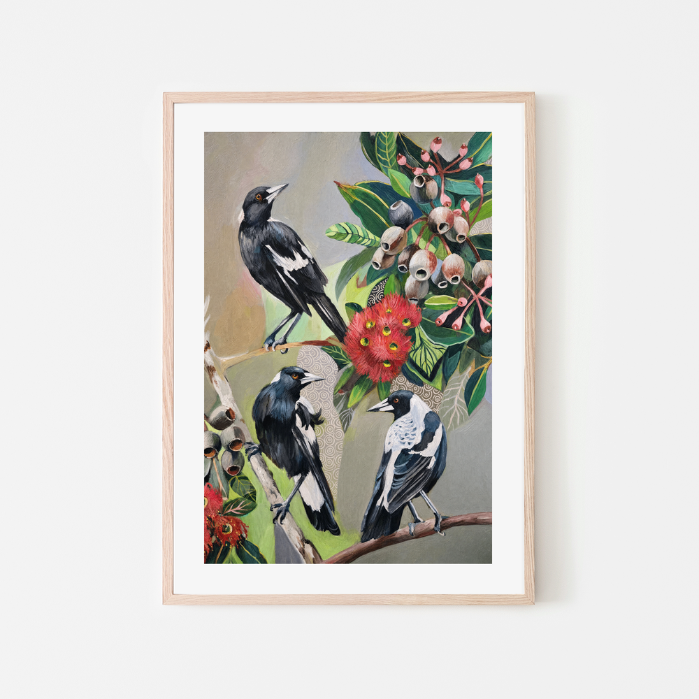 Magpies with Red Gum Blossom
