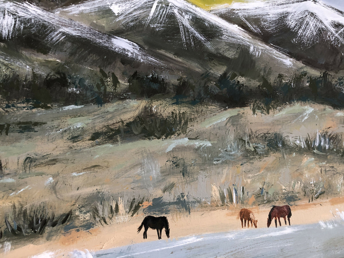 Brumbies Drinking Lakeside