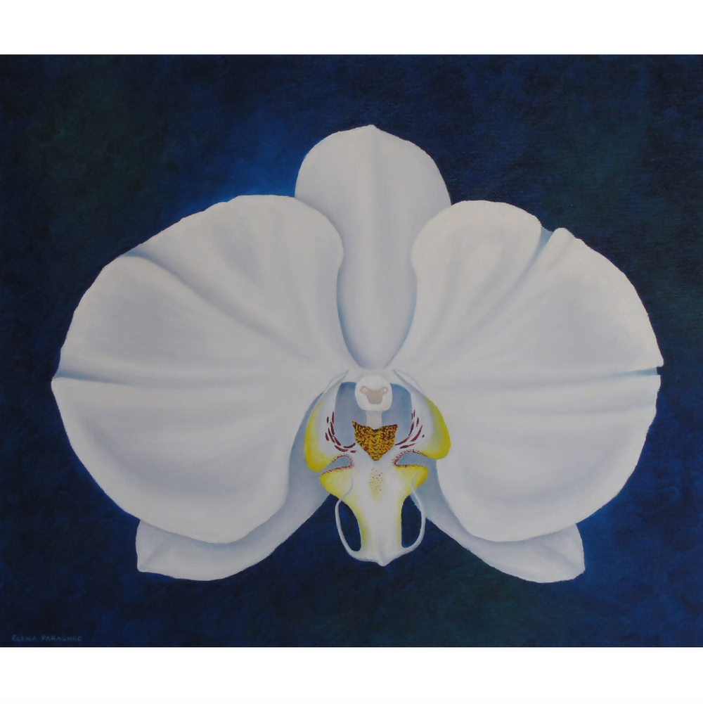 Tropical Orchids-by-Elena Parashko-original art-Gioia