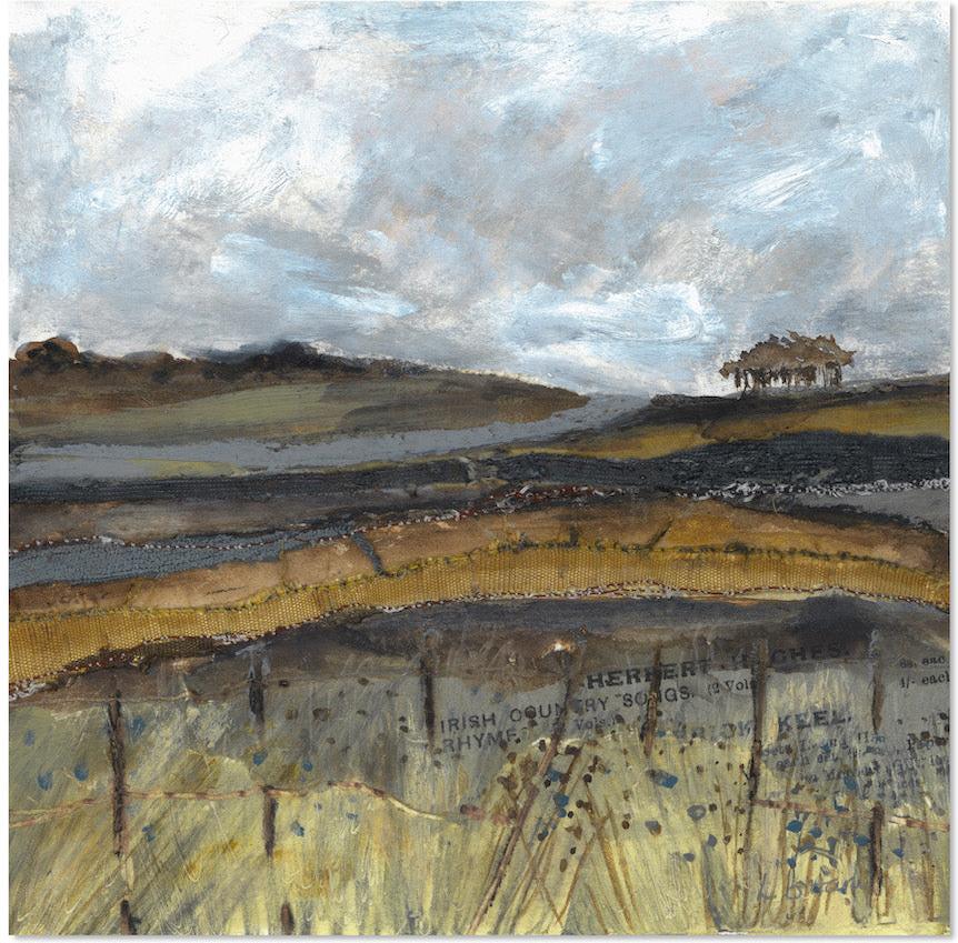Autumn Meadow View