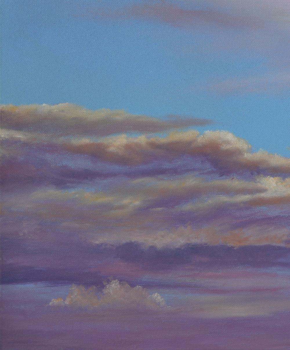 Up High in The Morning Light Galah-by-Dario Zanesco Original Art-original art-Gioia