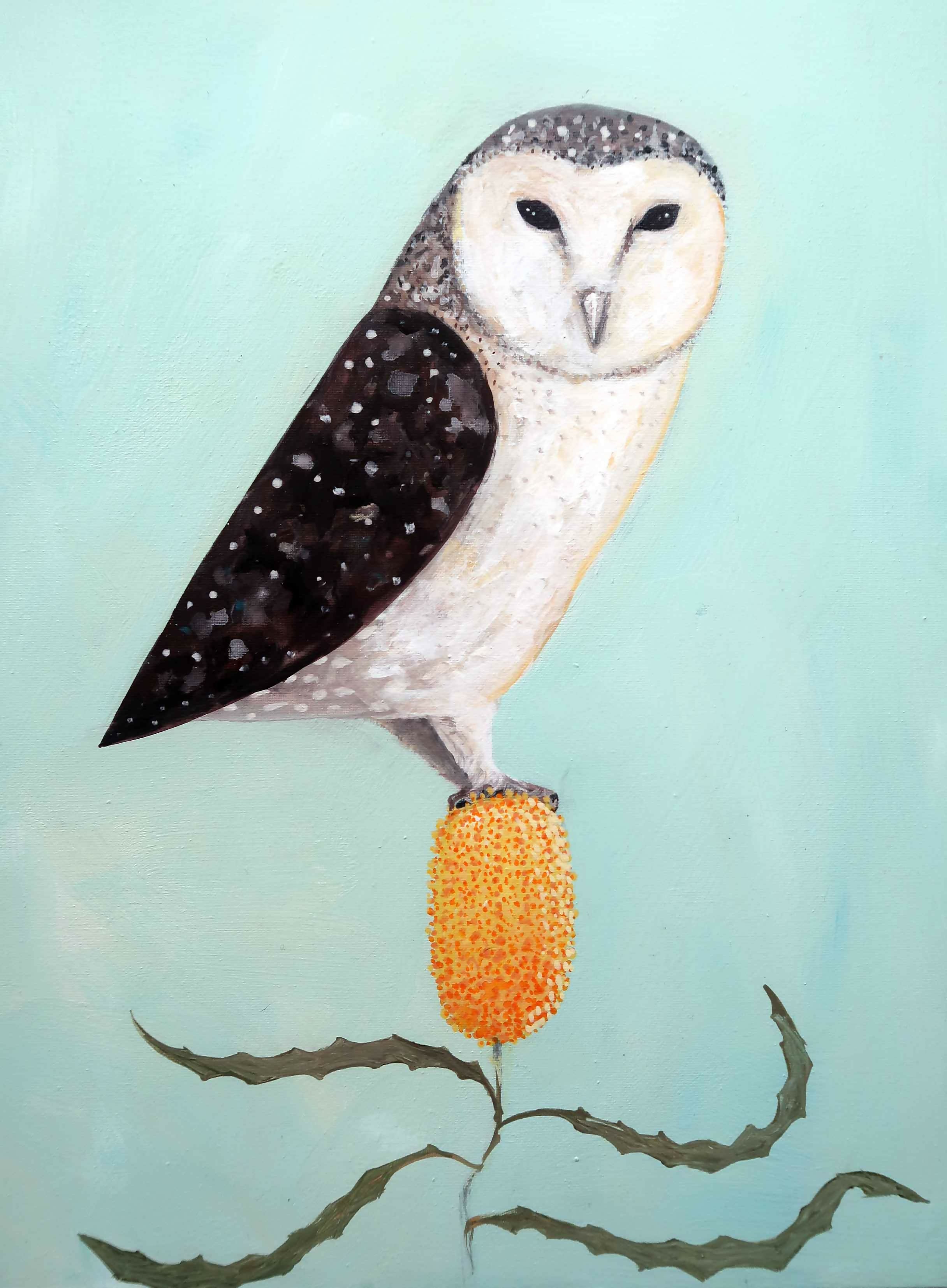 The Owl and the Banksia