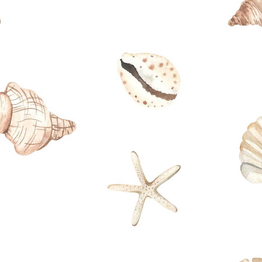 Watercolor Seashells And Starfish-wallpaper-eco-friendly-easy-removal-Gioia Wall Art-4