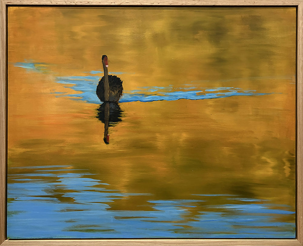 Swan Sunset