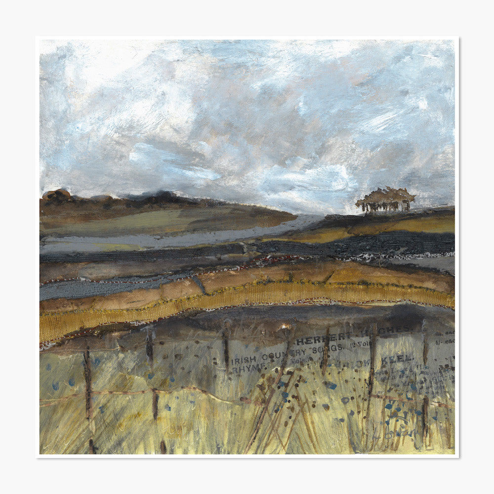 Autumn Meadow View