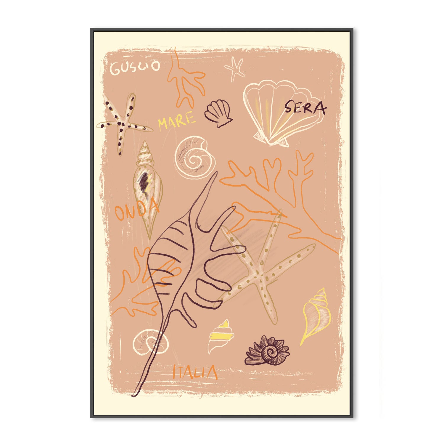 Shells