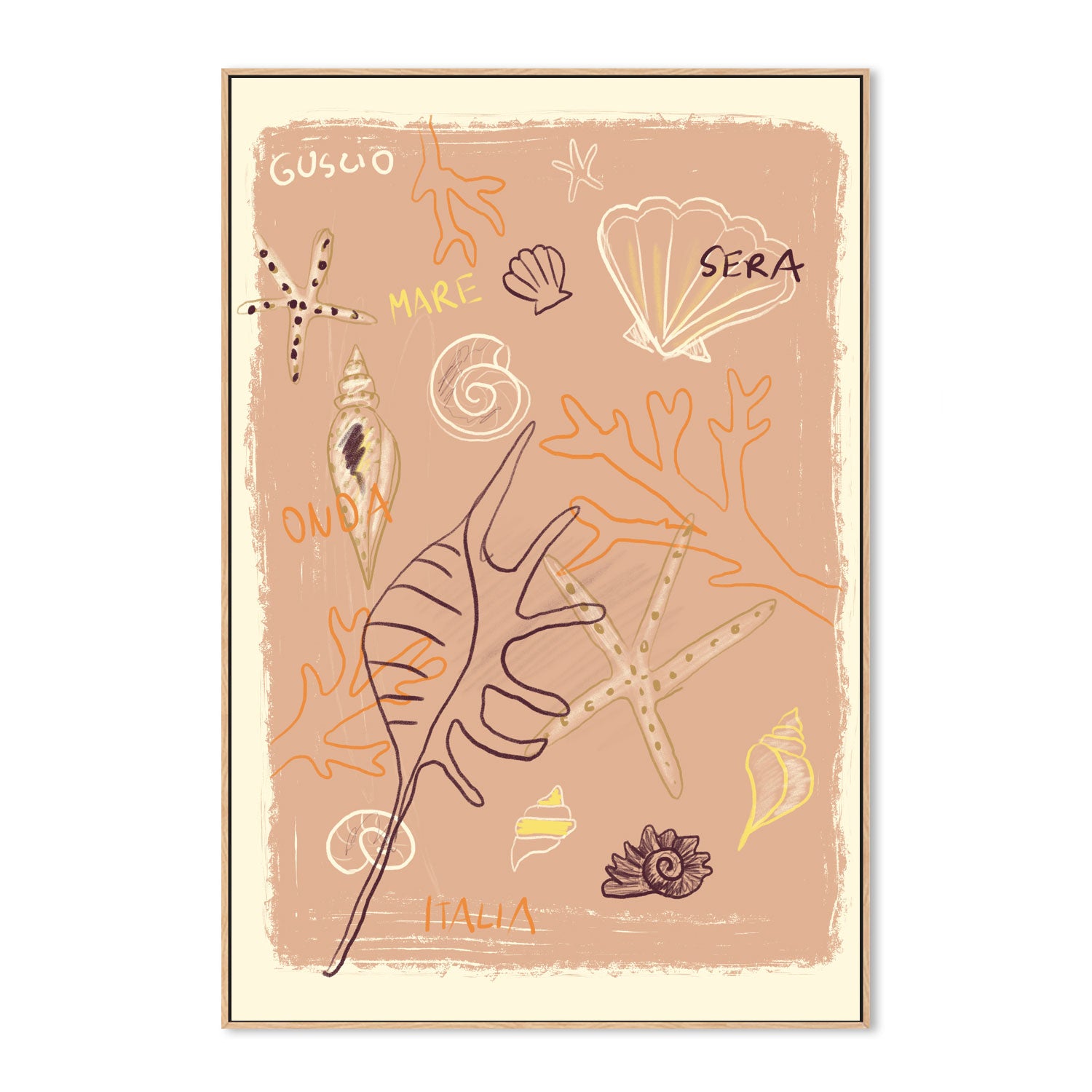 Shells