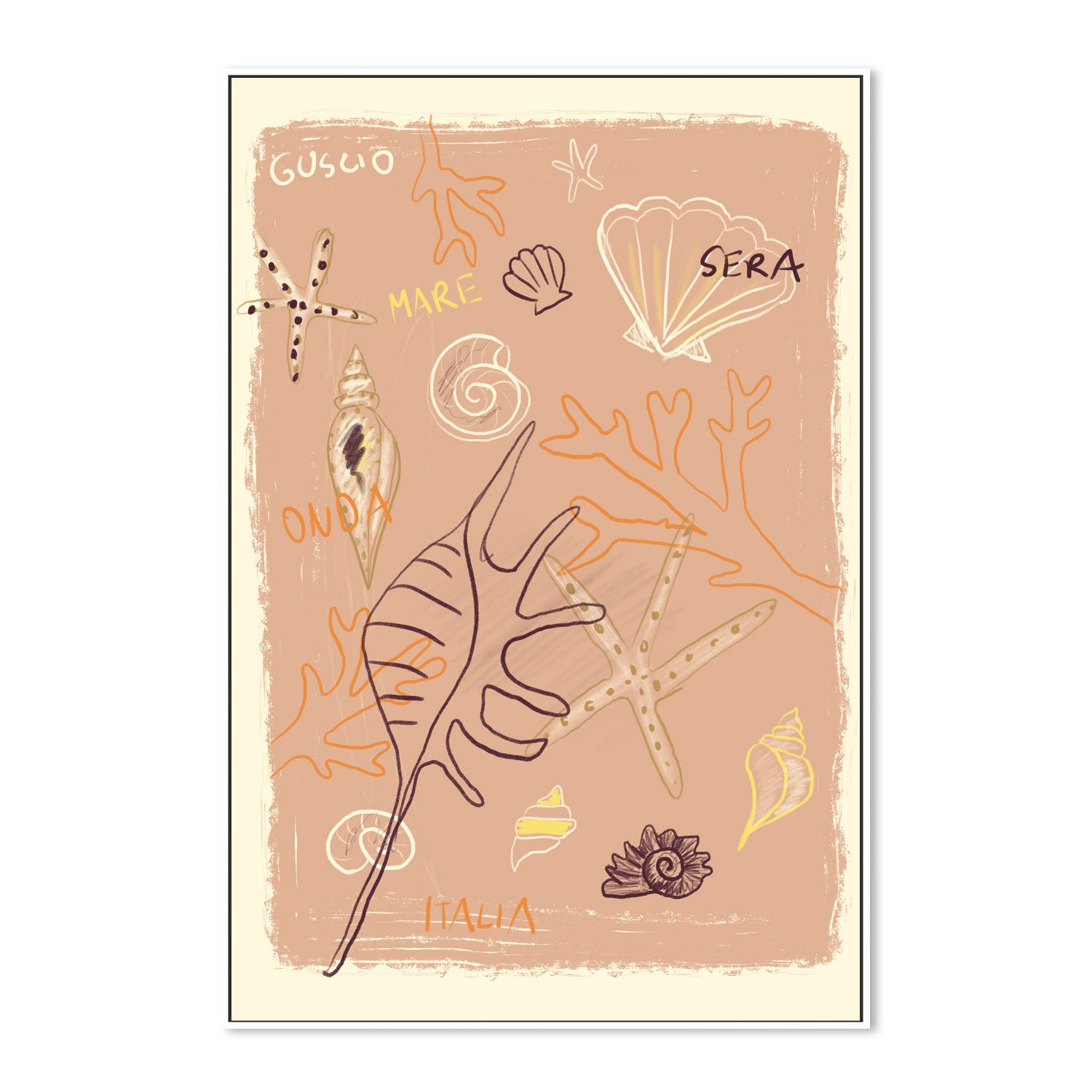 Shells