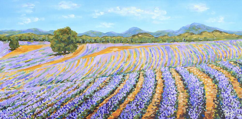 Lavender Pathways