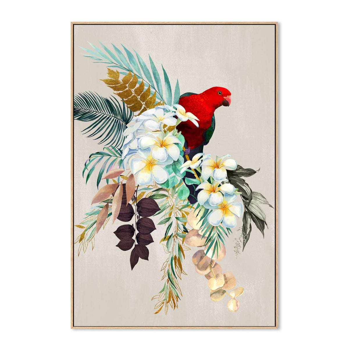 Red Macaw