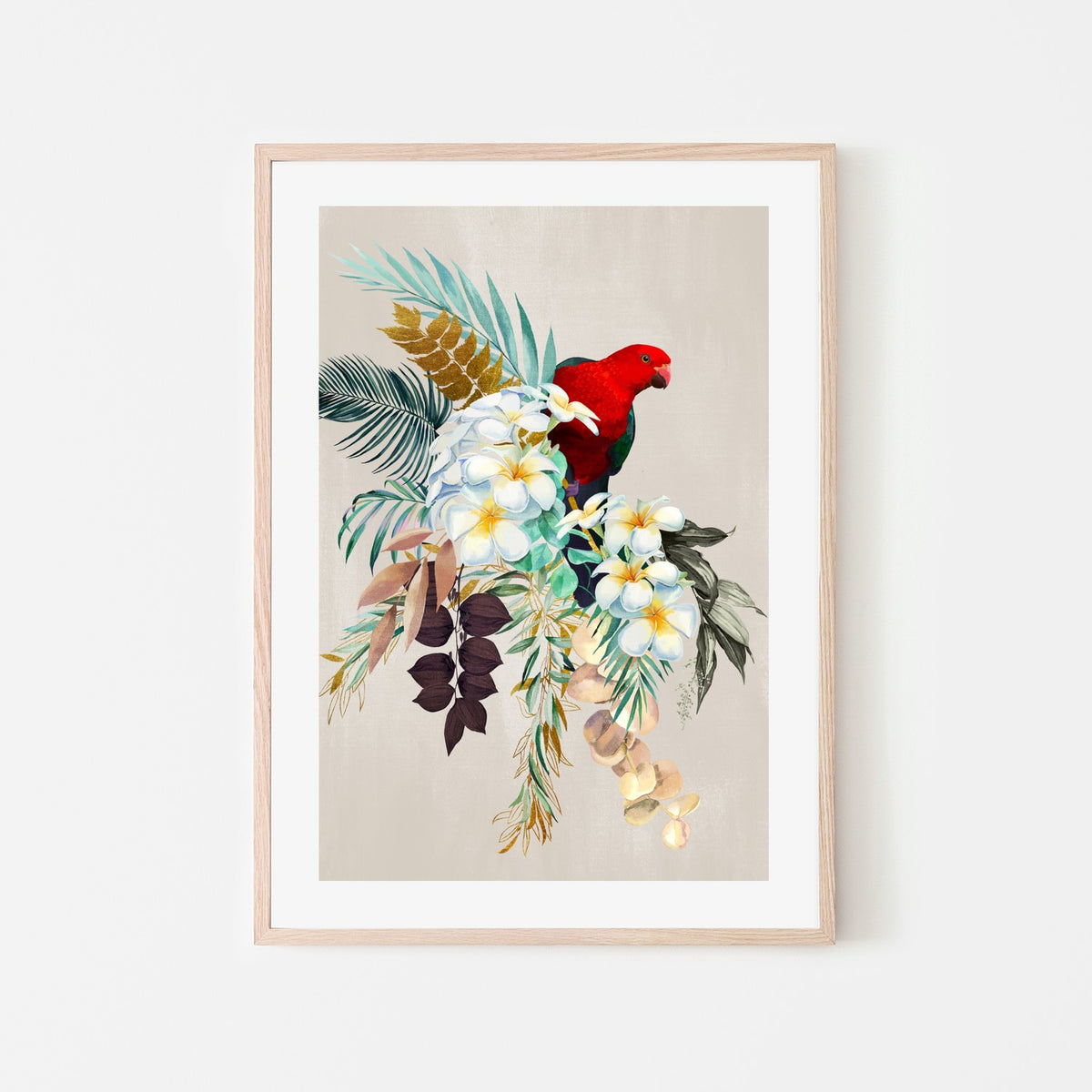 Red Macaw