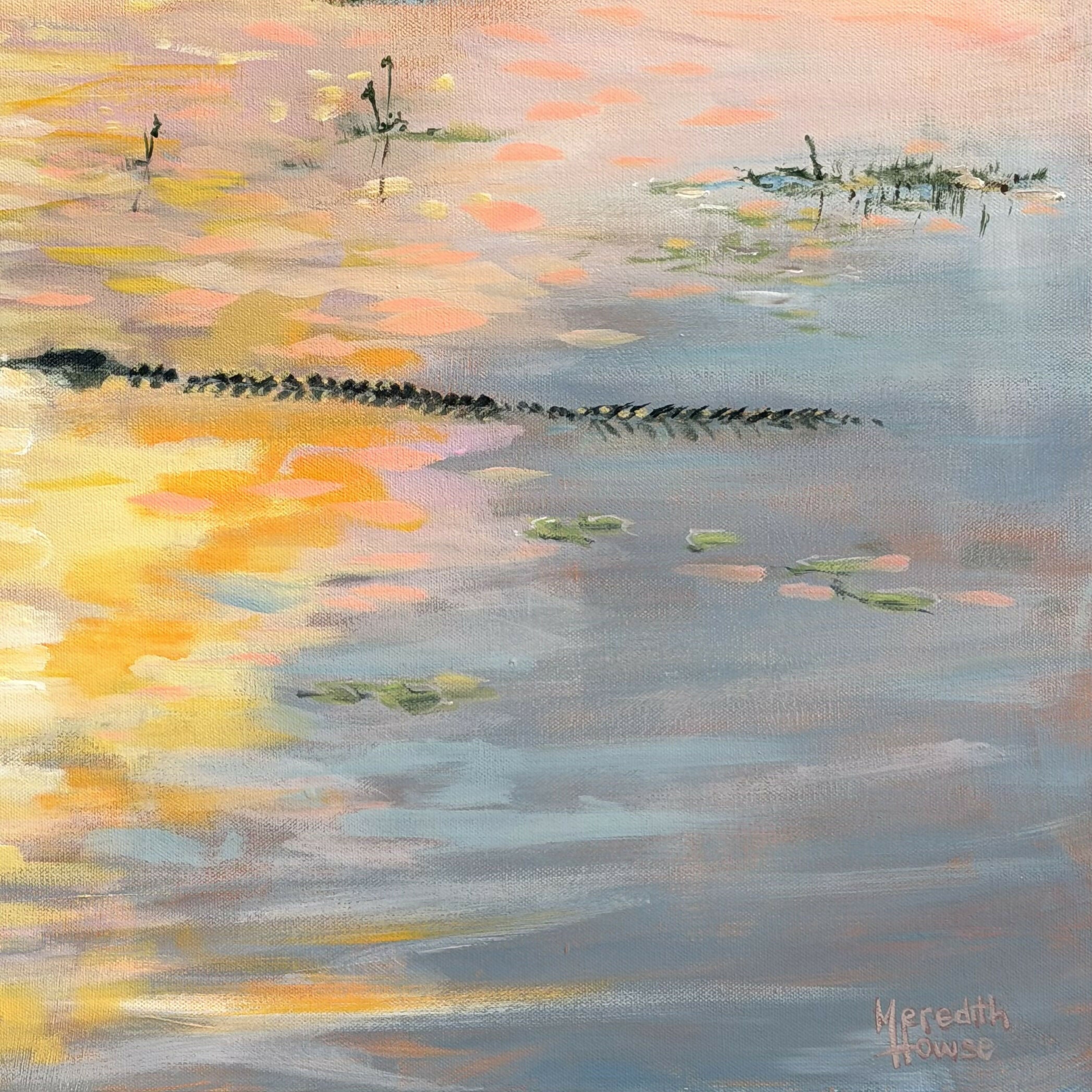 Kakadu Crocodile Sunset