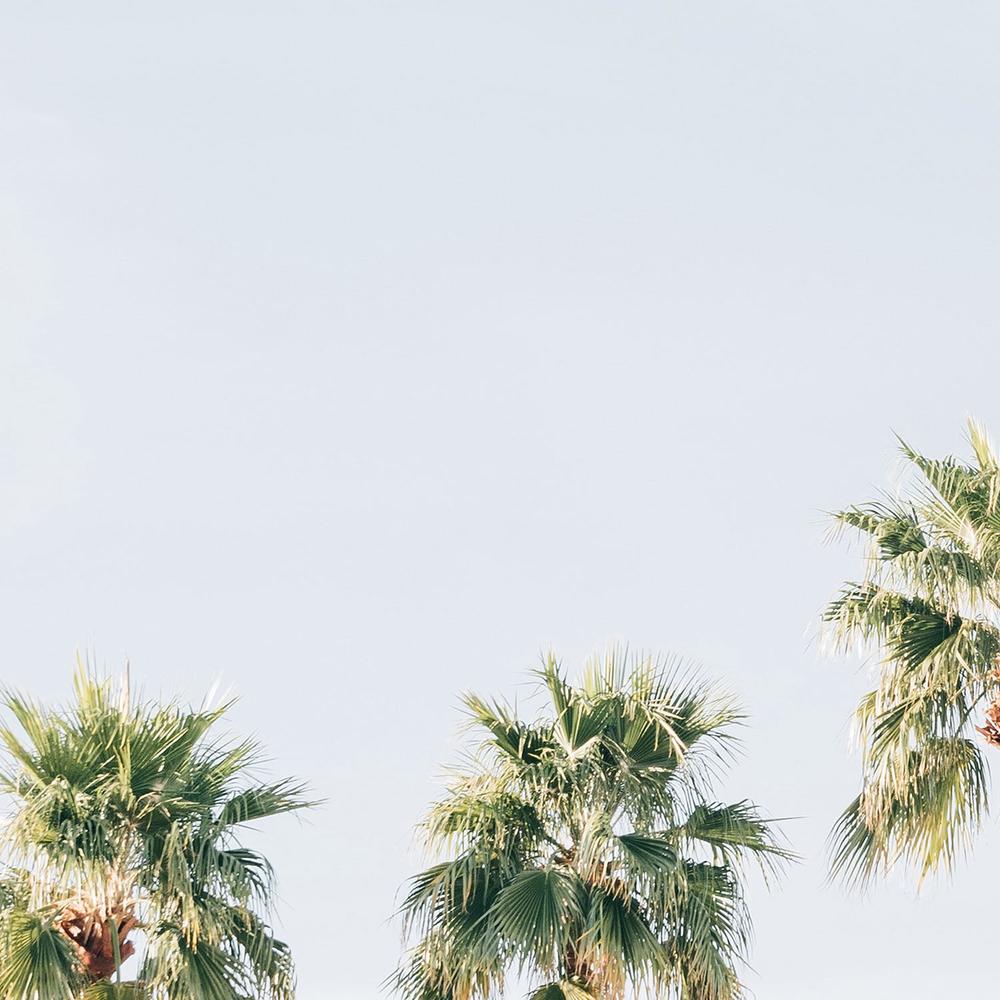 Aloha Hotel-by-Kathrin Pienaar-wall-art-print-canvas-poster-framed-Gioia