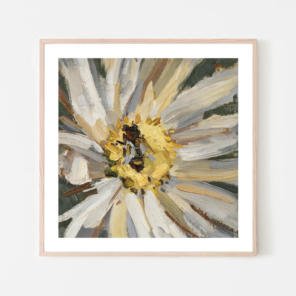 Bee on Ivory Daisy-by-Gioia Wall Art-wall-art-print-canvas-poster-framed-Gioia