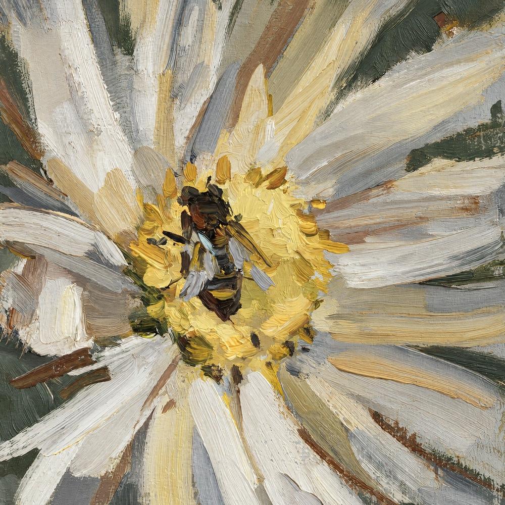 Bee on Ivory Daisy-by-Gioia Wall Art-wall-art-print-canvas-poster-framed-Gioia