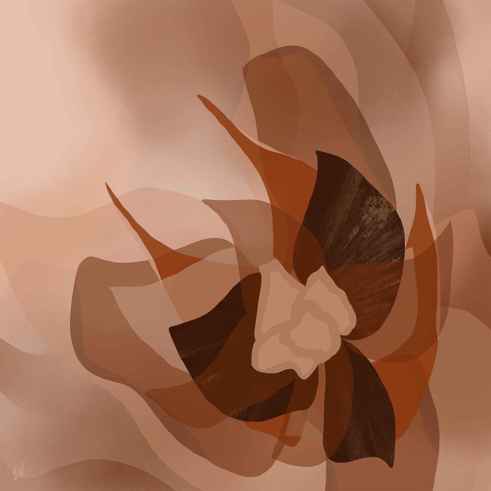 Blooming in peach-by-Carrie Welsh-wall-art-print-canvas-poster-framed-Gioia