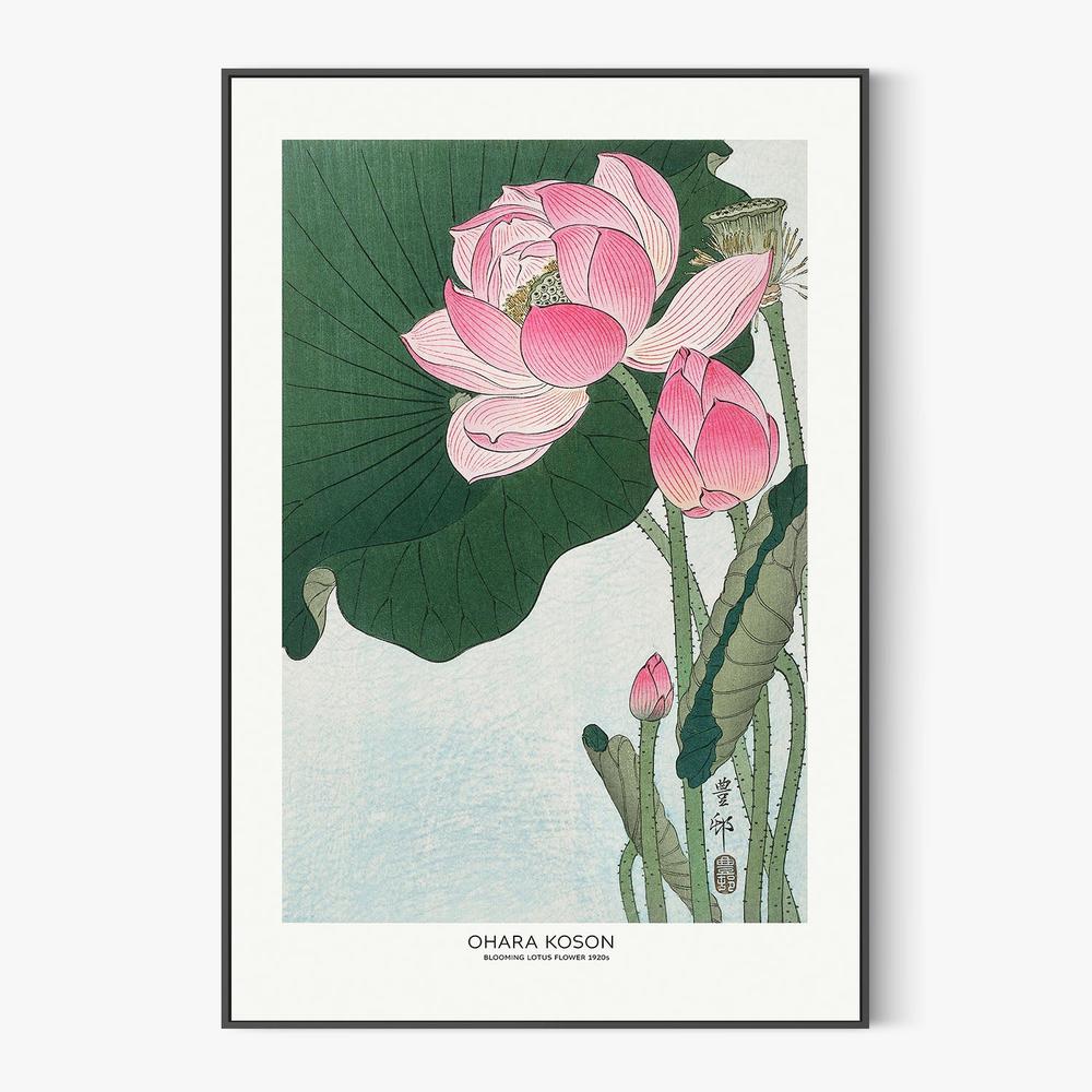 Blooming Lotus Flowers-by-Ohara Koson-wall-art-print-canvas-poster-framed-Gioia