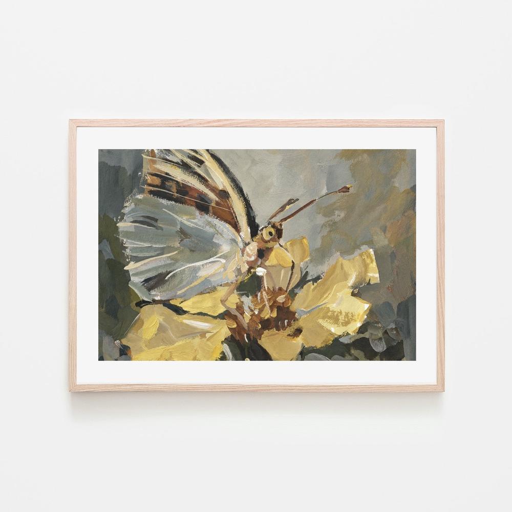 Butterfly in Golden Light-by-Gioia Wall Art-wall-art-print-canvas-poster-framed-Gioia