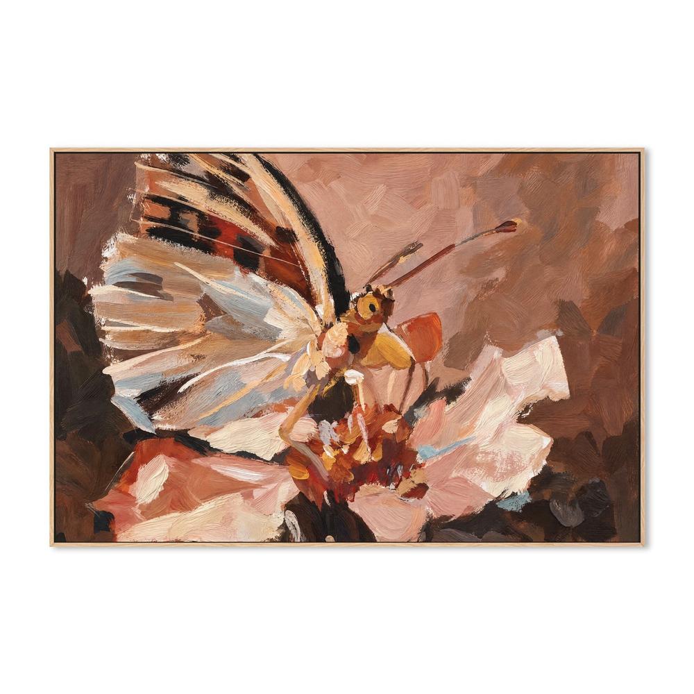 Butterfly in Terracotta Light-by-Gioia Wall Art-wall-art-print-canvas-poster-framed-Gioia
