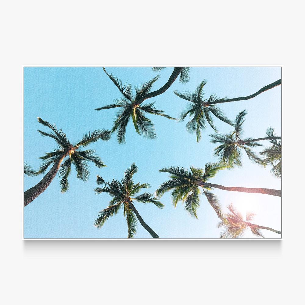 California Sky-by-Gal Pittel-wall-art-print-canvas-poster-framed-Gioia