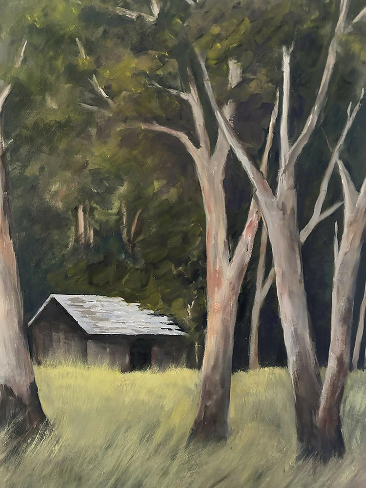 Hidden in the Forest