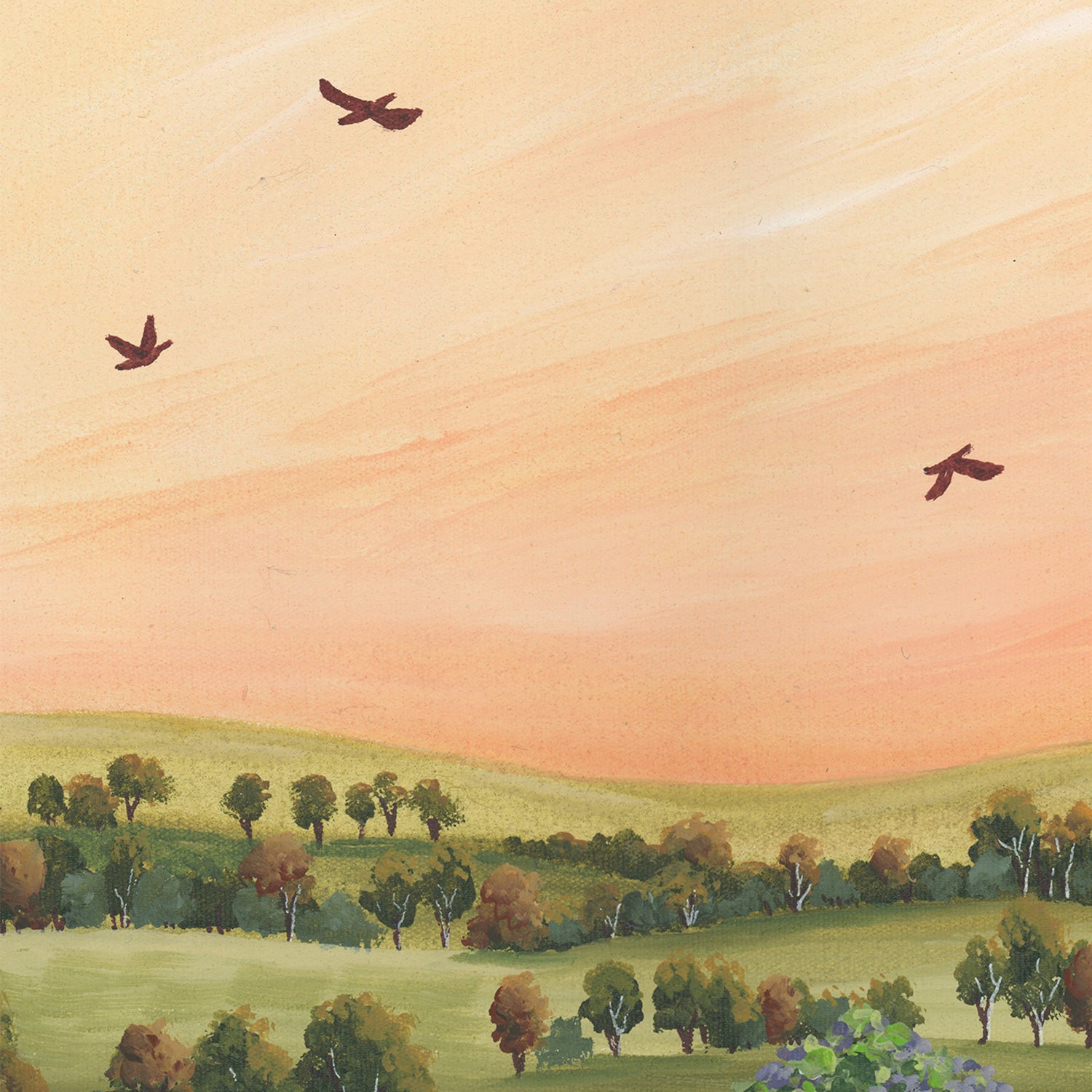 Our Place , By Meg Frances