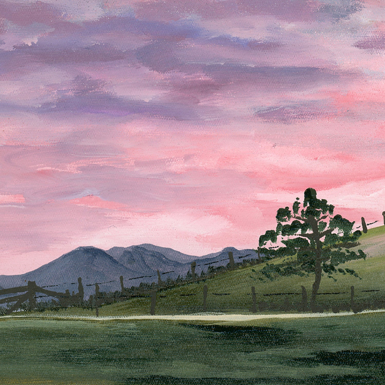 Our View , By Meg Frances