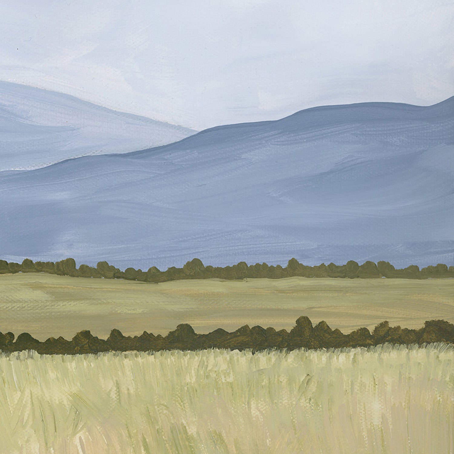 Cow Final , By Meg Frances