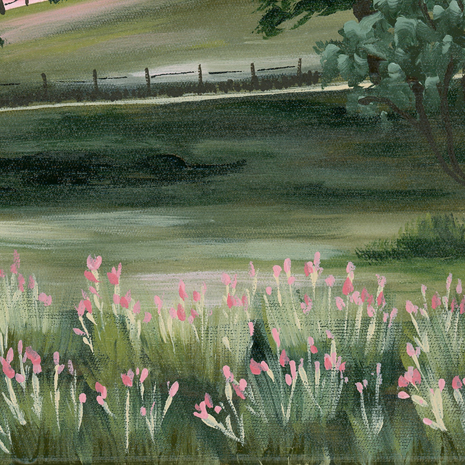 Our View , By Meg Frances