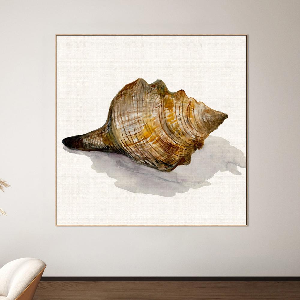 Conch Shell-by-Jacob Q-wall-art-print-canvas-poster-framed-Gioia