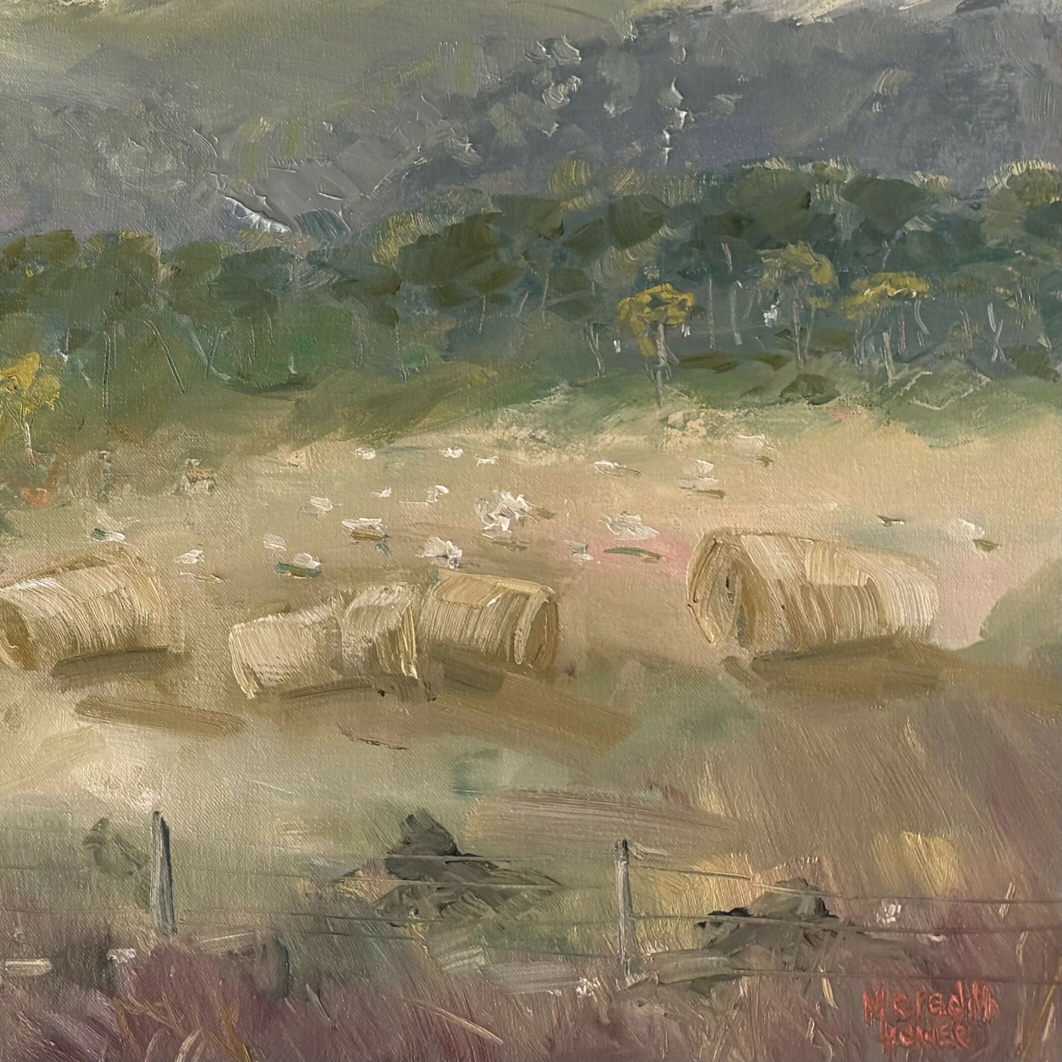 Round Bales for Sheep