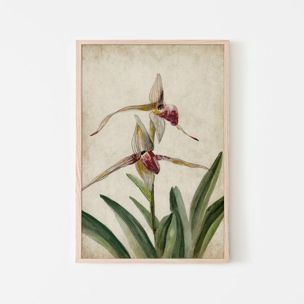 Elegance Unveiled, Style A-by-Jacob Q-wall-art-print-canvas-poster-framed-Gioia