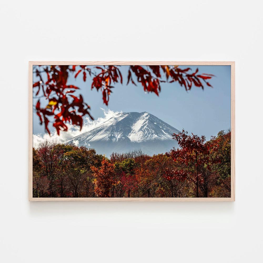 Fuji Autumn Trees-by-Andrew Paranavitana-wall-art-print-canvas-poster-framed-Gioia