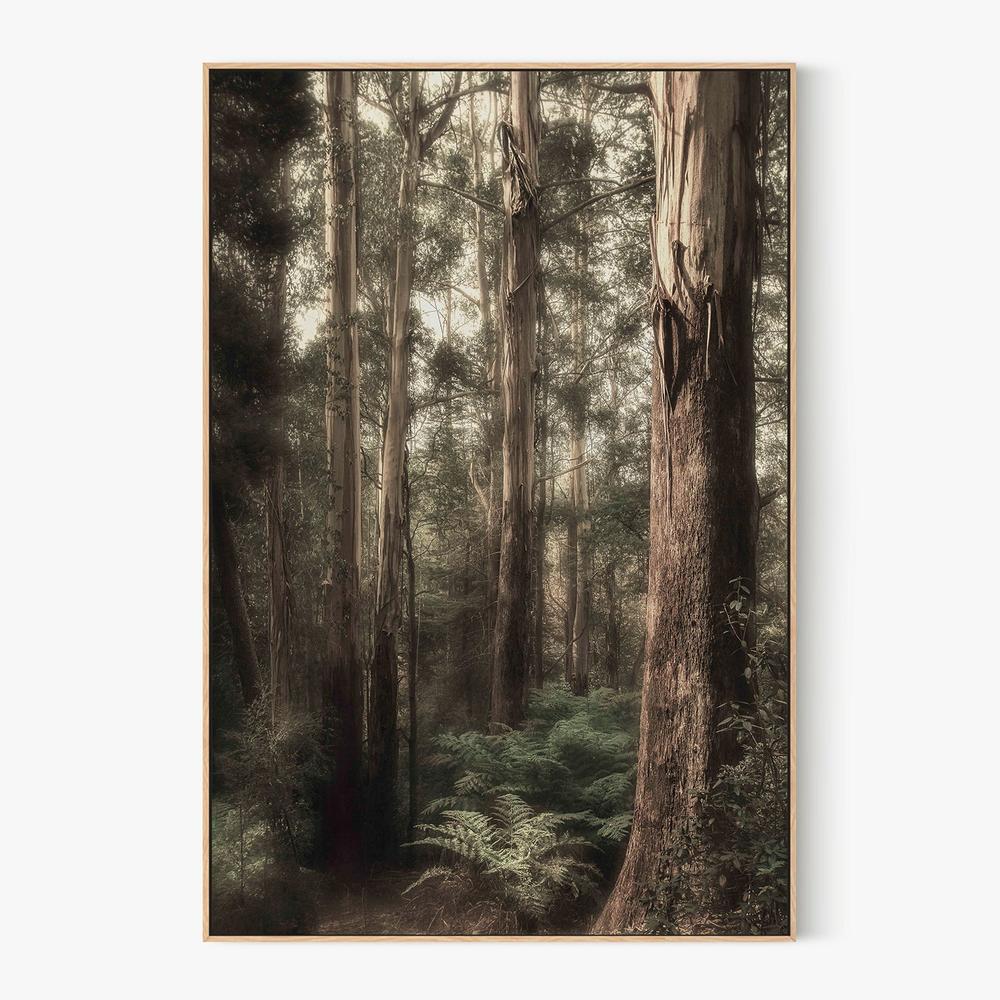Ghostly-by-Andrew Paranavitana-wall-art-print-canvas-poster-framed-Gioia