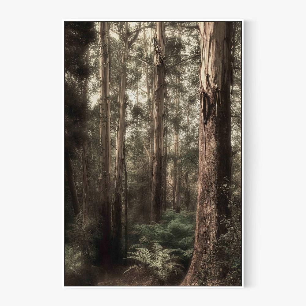 Ghostly-by-Andrew Paranavitana-wall-art-print-canvas-poster-framed-Gioia
