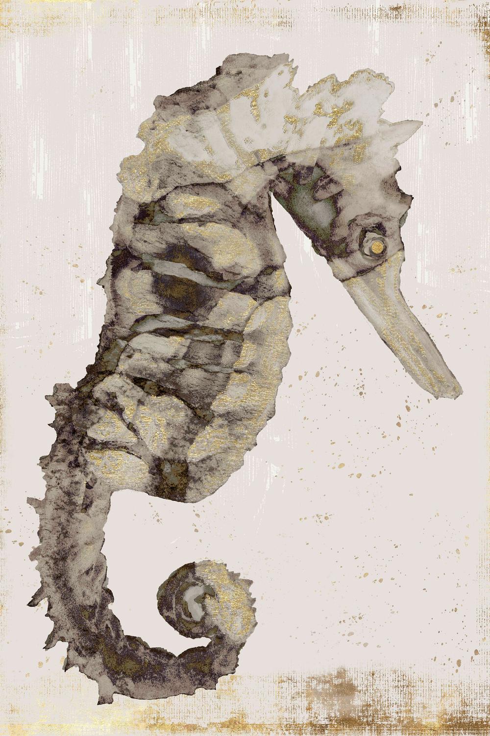 Glided Seahorse-by-Jacob Q-wall-art-print-canvas-poster-framed-Gioia
