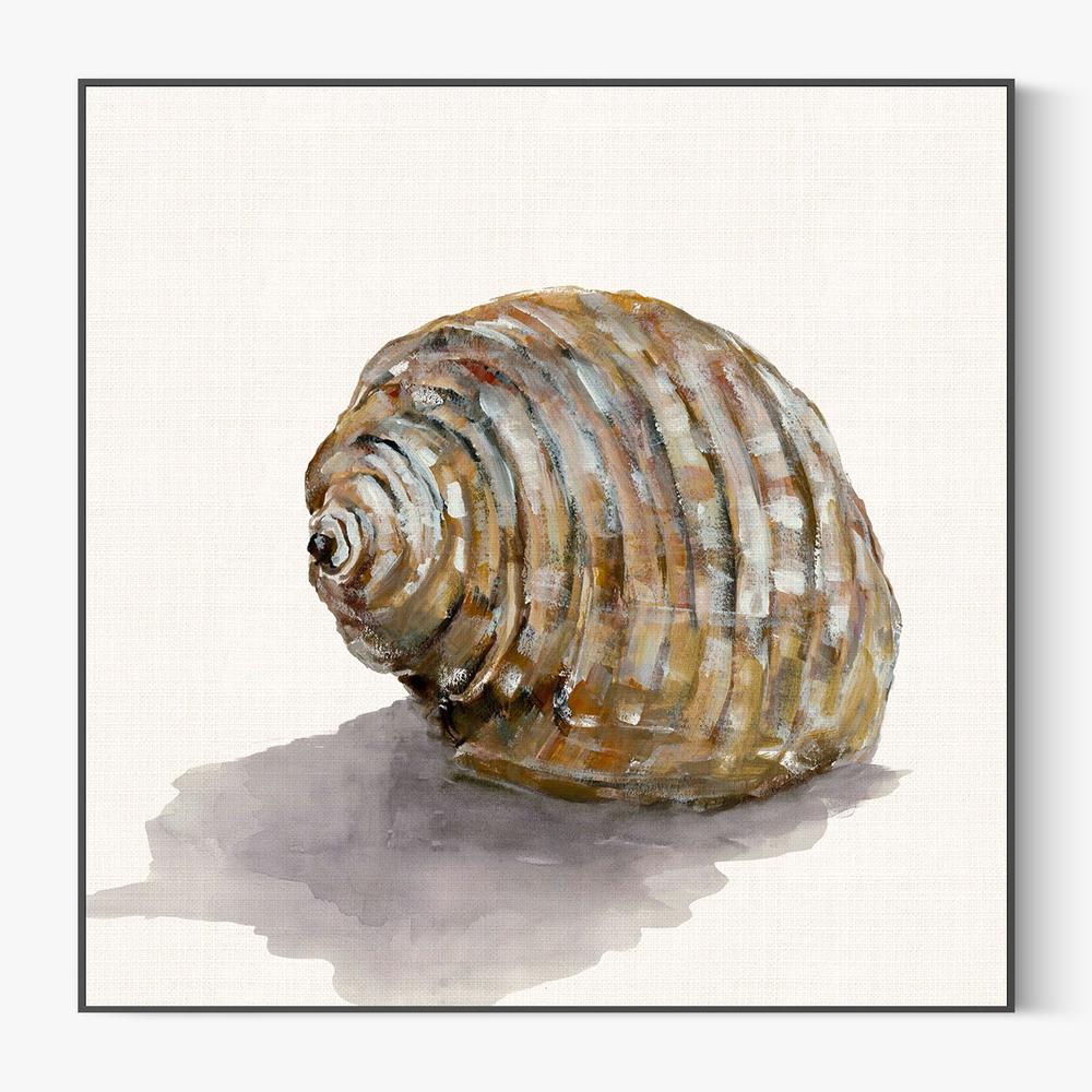 Golden Seashell-by-Jacob Q-wall-art-print-canvas-poster-framed-Gioia