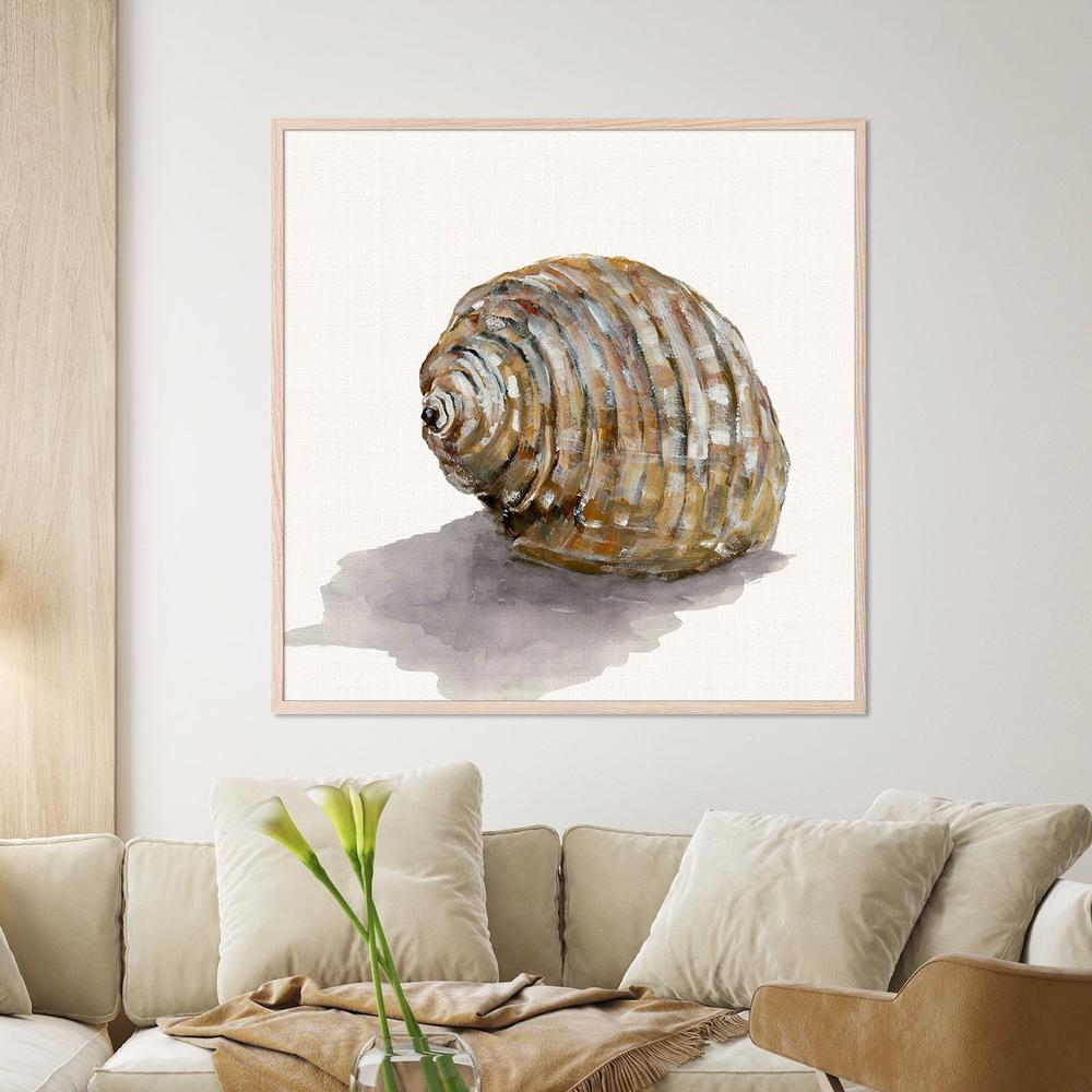 Golden Seashell-by-Jacob Q-wall-art-print-canvas-poster-framed-Gioia
