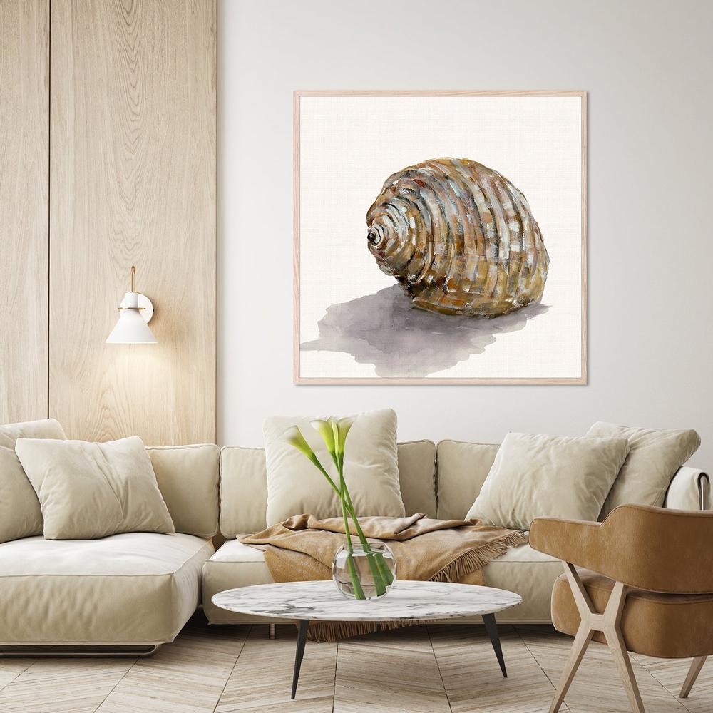 Golden Seashell-by-Jacob Q-wall-art-print-canvas-poster-framed-Gioia