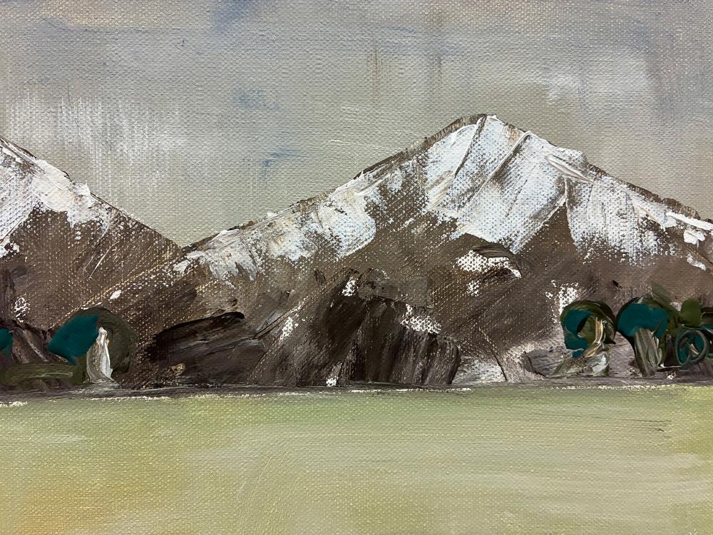Snowy Mountains Plains