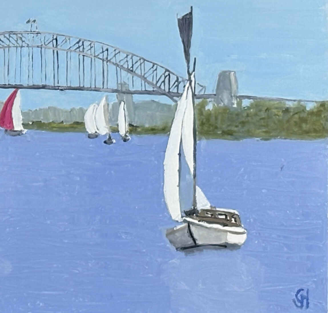 Sydney Harbour Sailing