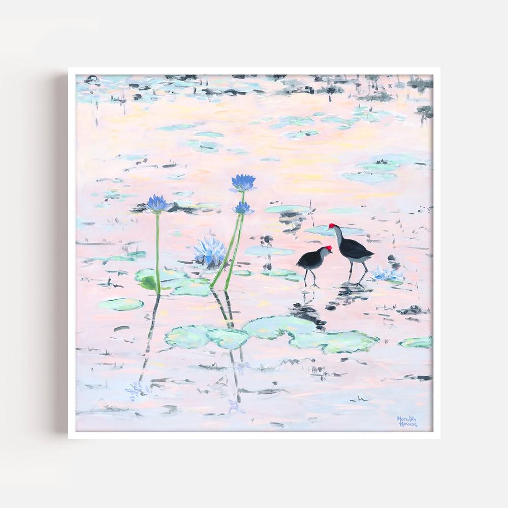 Kakadu Jacana-by-Meredith Howse-wall-art-print-canvas-poster-framed-Gioia