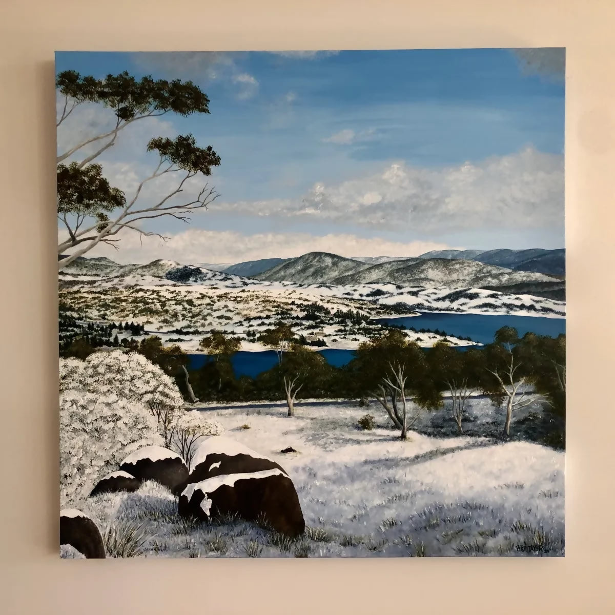 Snow covered Jindabyne